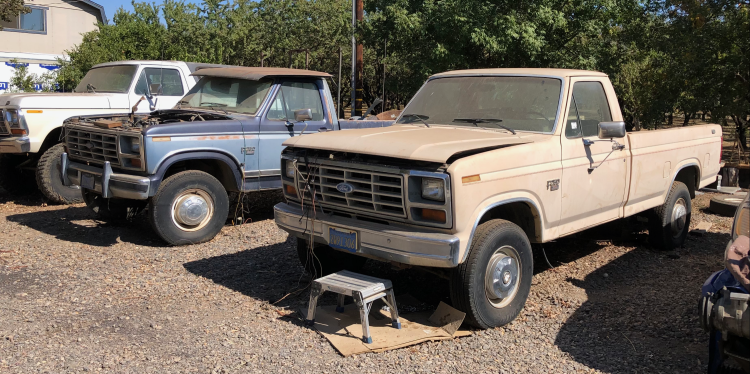 1986 and 1984 F250's