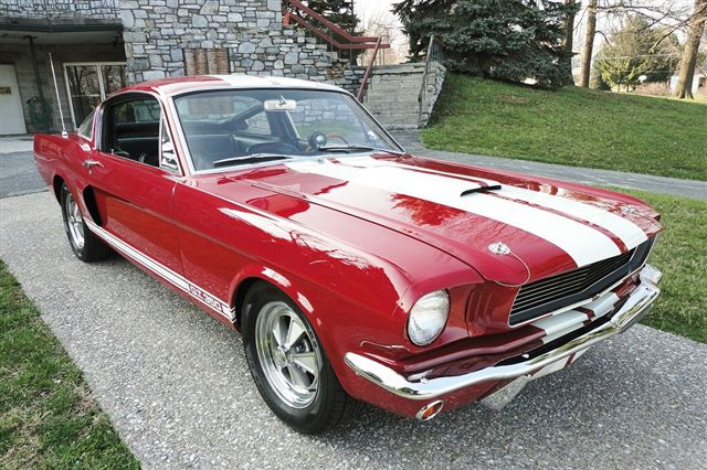 1966 GT350