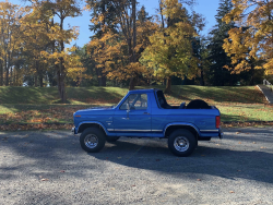 1981 Bronco 