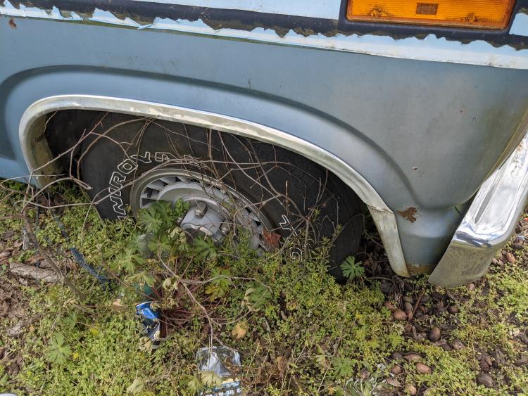 Vines growing all over the tire.